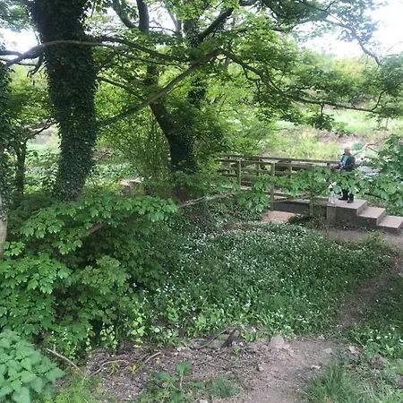 Fairy Dell *
