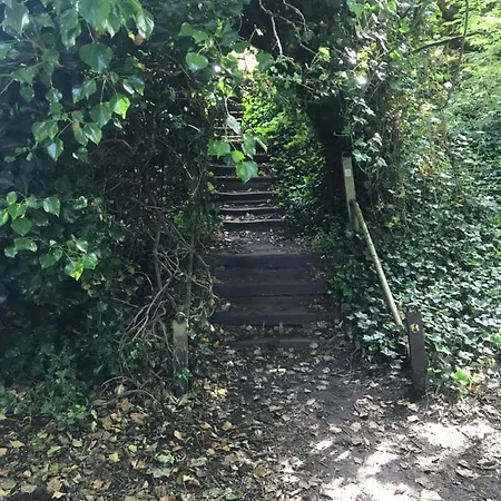 Fairy Dell Homestay szállás *