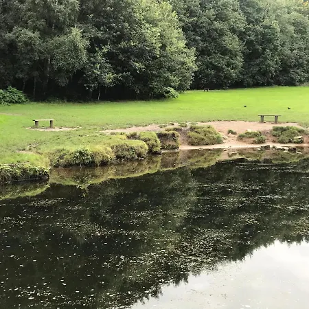 Homestay szállás Fairy Dell Leeds